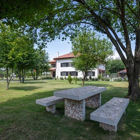 Pensiunea Negoiu Porumbacu de Sus Εξωτερικό φωτογραφία