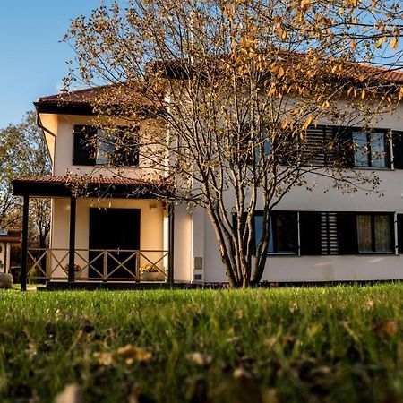 Pensiunea Negoiu Porumbacu de Sus Εξωτερικό φωτογραφία