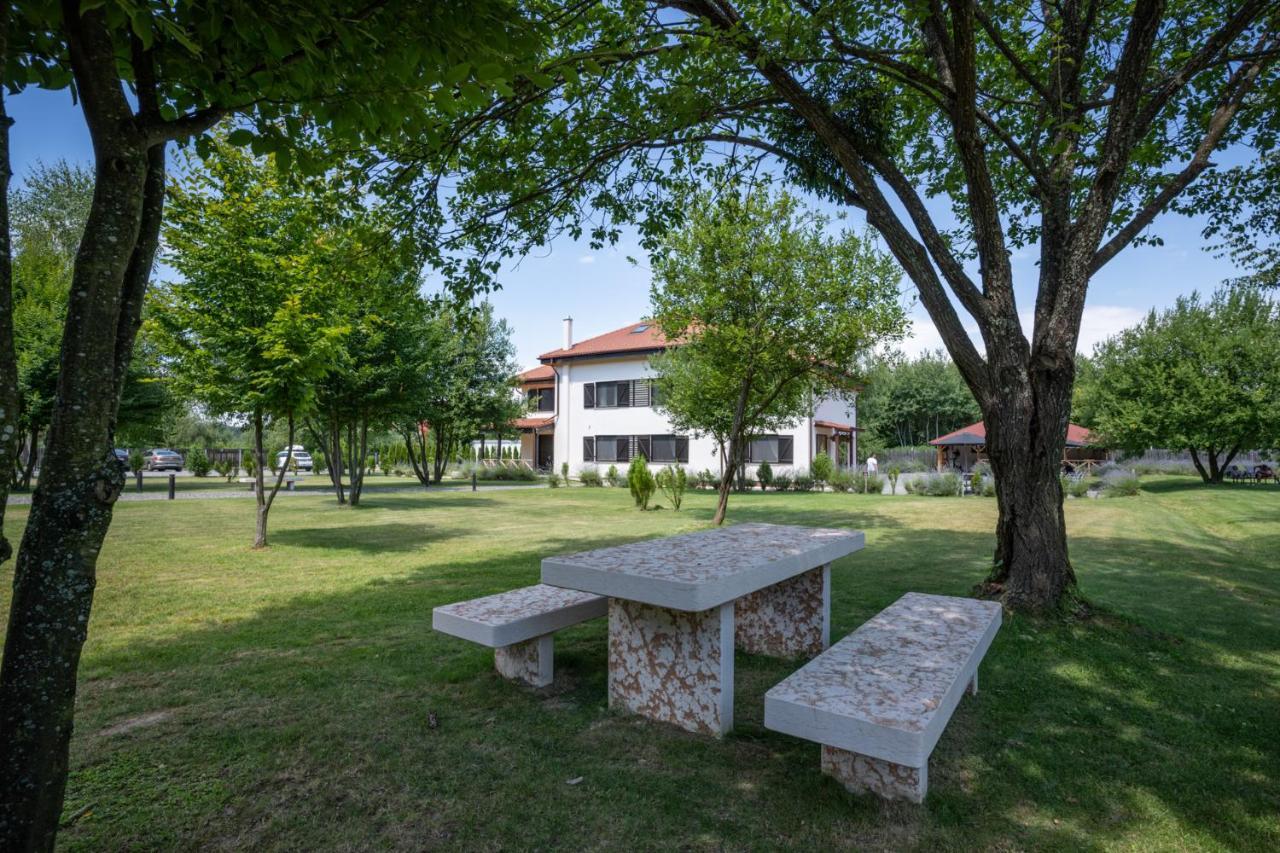 Pensiunea Negoiu Porumbacu de Sus Εξωτερικό φωτογραφία