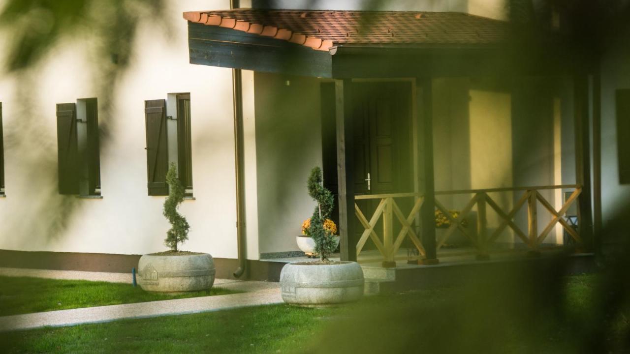 Pensiunea Negoiu Porumbacu de Sus Εξωτερικό φωτογραφία