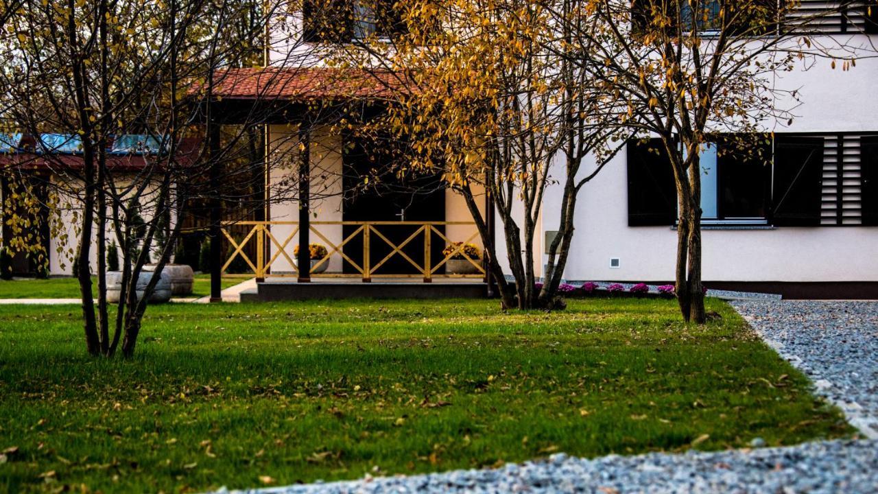 Pensiunea Negoiu Porumbacu de Sus Εξωτερικό φωτογραφία